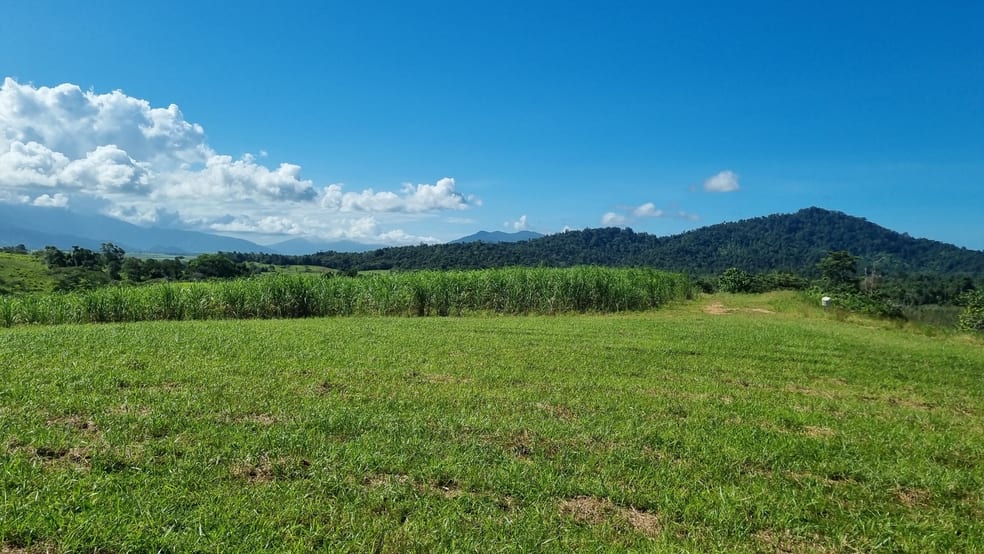 Click to view all images 36 Bonso Access Drive East Russell QLD 4861 - Image 3