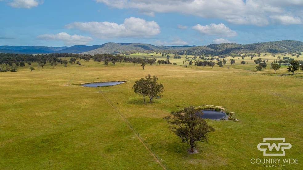 Click to view all images 1783 Tablelands Road Red Range NSW 2370 - Image 3
