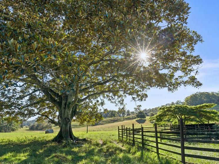 Click to view all images 1199 Reserve Creek Road Reserve Creek NSW 2484 - Image 2