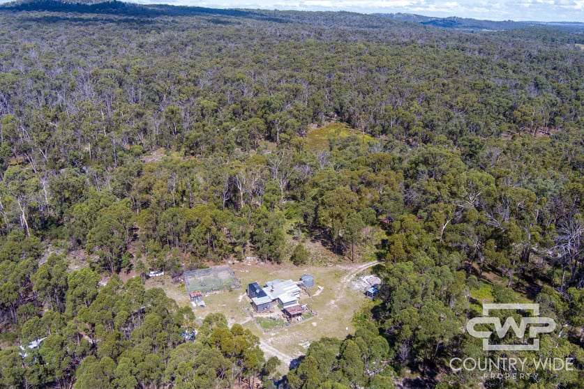Click to view all images 2 Carrot Farm Road Deepwater NSW 2371 - Image 1