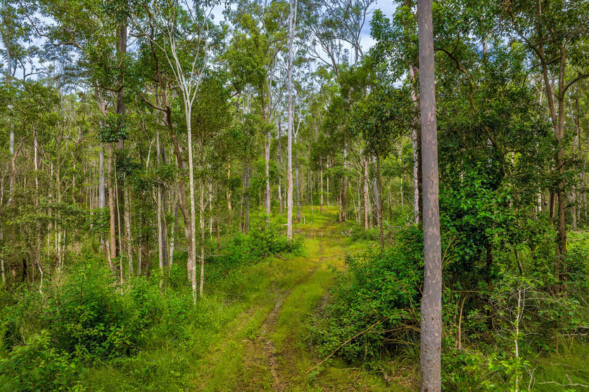 Click to view all images Lot 984 Arborfourteen Road Glenwood QLD 4570 - Image 2