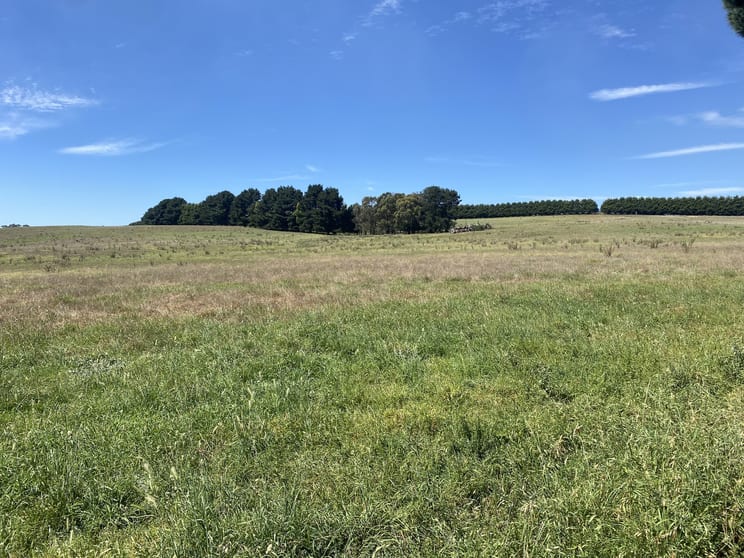 Click to view all images 2566 Woodhouselee Road Laggan NSW 2583 - Image 1