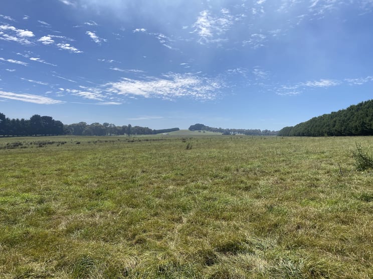 Click to view all images 2566 Woodhouselee Road Laggan NSW 2583 - Image 3