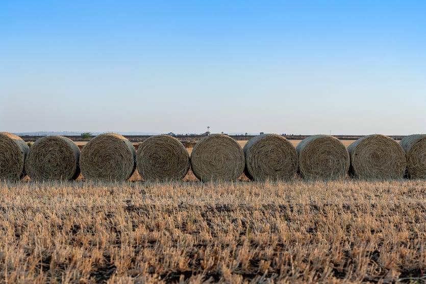 Click to view all images 15/365 Rickert Road Nobby QLD 4360 - Image 2