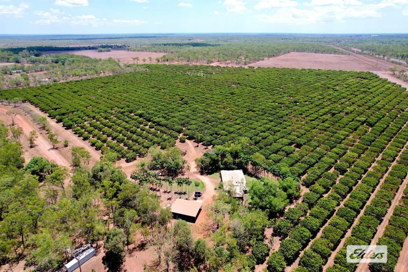 45 Old Bynoe Road Livingstone NT 0822 - Image 1