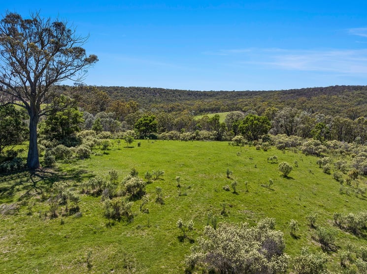 Click to view all images 181 Old Coowong Road Canyonleigh NSW 2577 - Image 3
