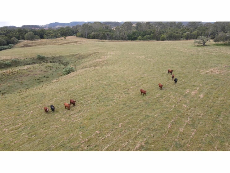 Click to view all images 1262 Willina Road Bunyah NSW 2429 - Image 1