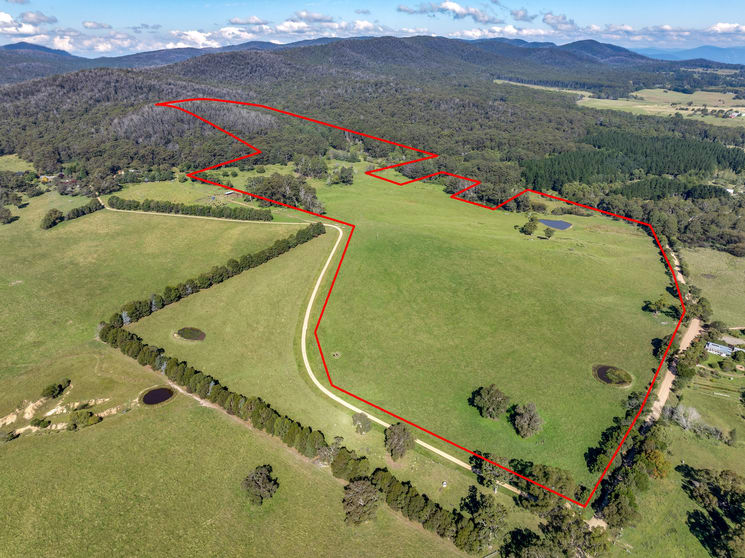 Click to view all images 65 Sawyers Ridge Road Reidsdale NSW 2622 - Image 1