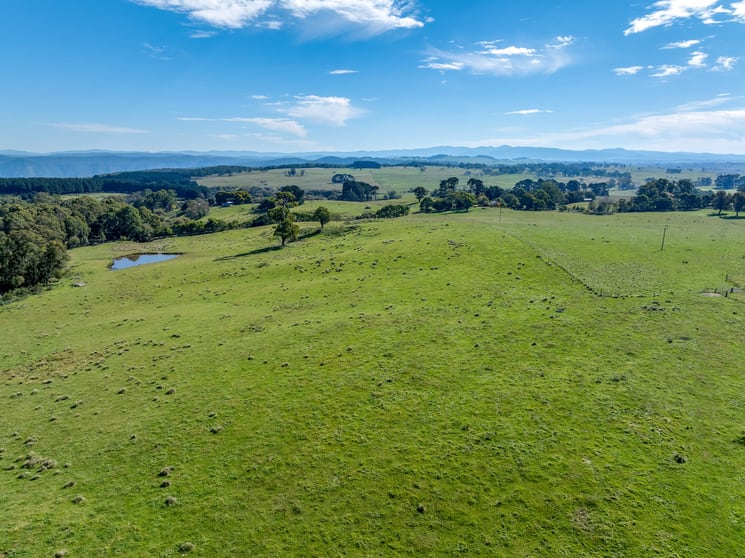 Click to view all images 65 Sawyers Ridge Road Reidsdale NSW 2622 - Image 3