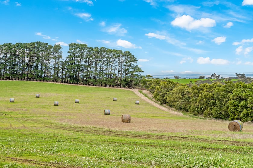 Click to view all images 3399 Victor Harbour Road Mount Jagged SA 5211 - Image 3