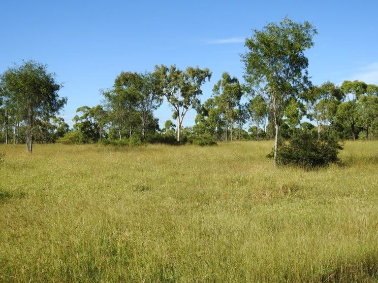Click to view all images 214 Dunroamin Road Breddan QLD 4820 - Image 3