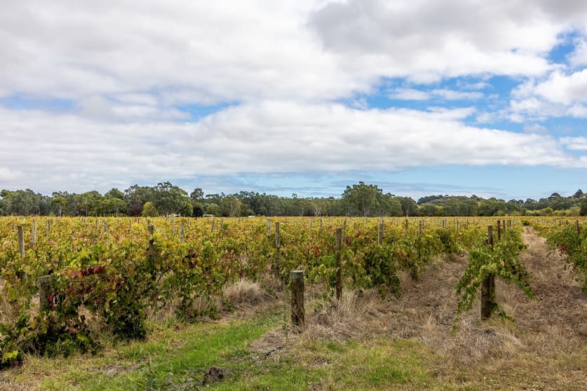 Click to view all images Lot 69 Whitings Road Mclaren Flat SA 5171 - Image 2