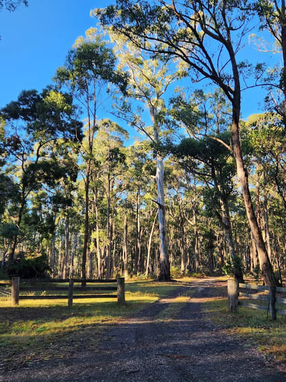 Click to view all images 60 Hickeys Road Trentham East VIC 3458 - Image 2