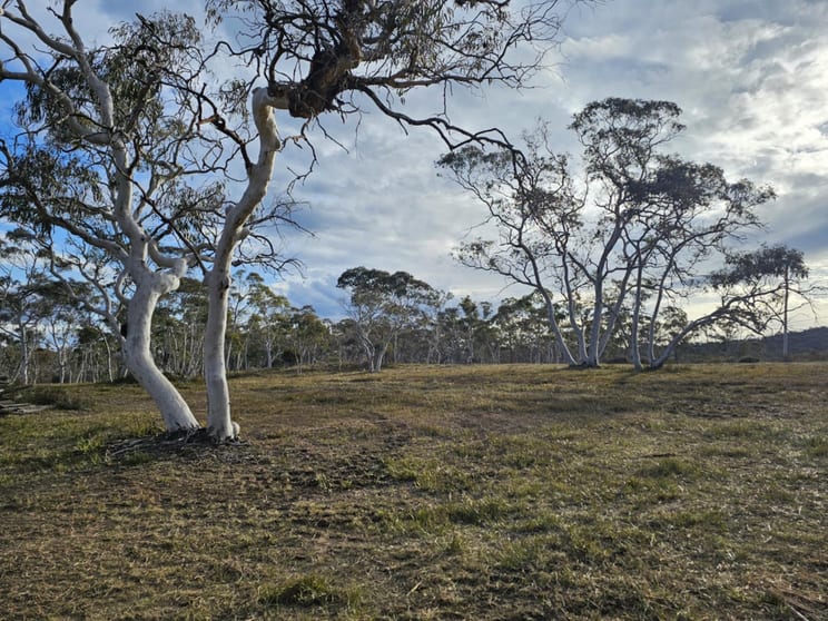 Click to view all images 381 Williams Drive Lower Boro NSW 2580 - Image 2