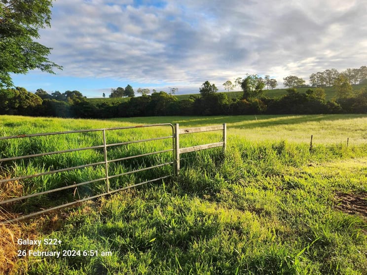 Click to view all images 132 Hemmings Lane Upper Barron QLD 4883 - Image 2