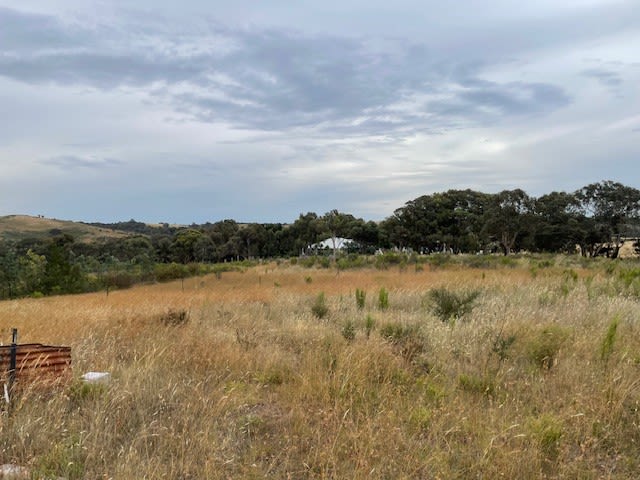 Click to view all images Lot 127 Kiowarra Road Bevendale NSW 2581 - Image 2