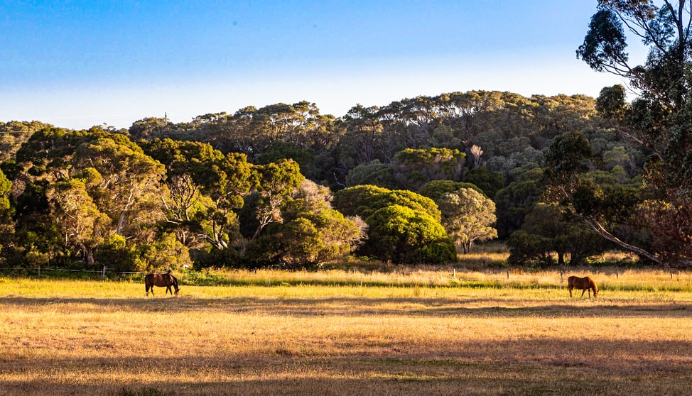 Click to view all images 9569 (PL 582) Caves Road Hamelin Bay WA 6288 - Image 3