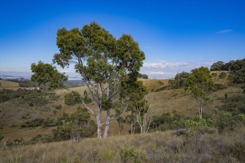 Click to view all images 404 Glengyle Road Nanima NSW 2582 - Image 3