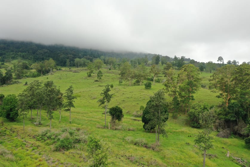 Click to view all images Lot 47 - 807 Tunglebung Creek Road Casino NSW 2470 - Image 3