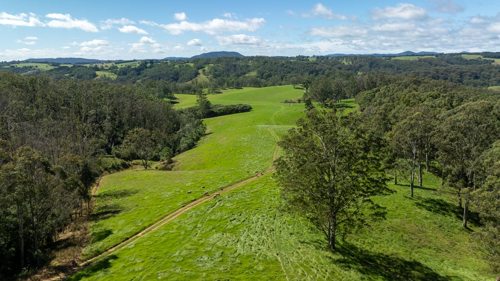 Click to view all images 624 Deer Vale Road Fernbrook NSW 2453 - Image 3