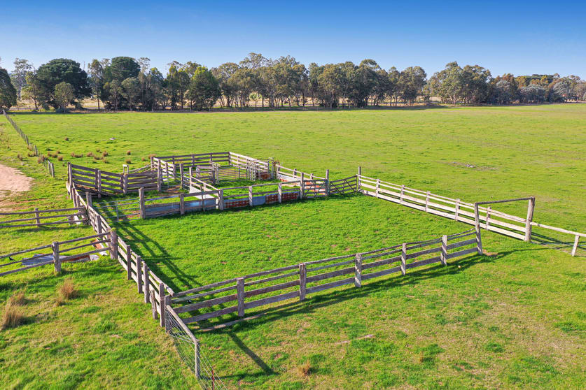 Click to view all images 215 Bairnsdale-Dargo Road Hillside VIC 3875 - Image 3