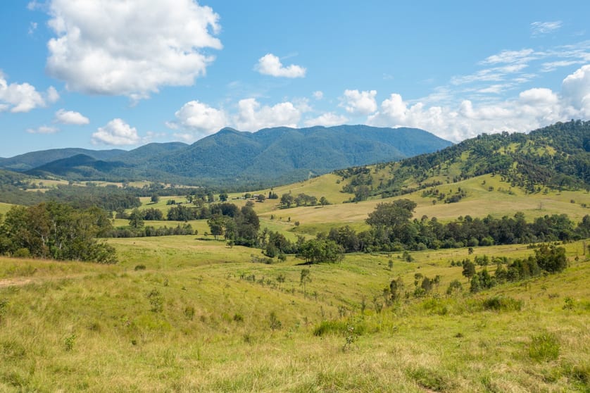 Click to view all images 1331 Forbes River Road Forbes River NSW 2446 - Image 2