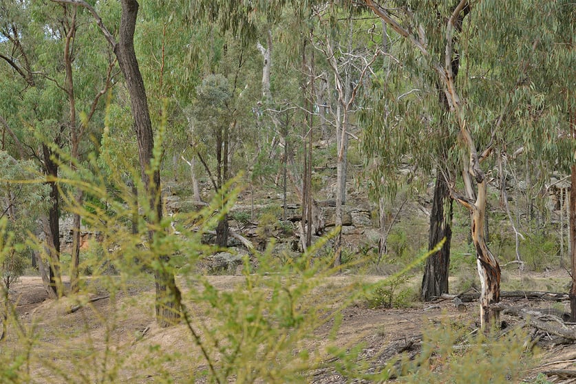 Click to view all images 285 SALAKS ROAD Coonabarabran NSW 2357 - Image 1