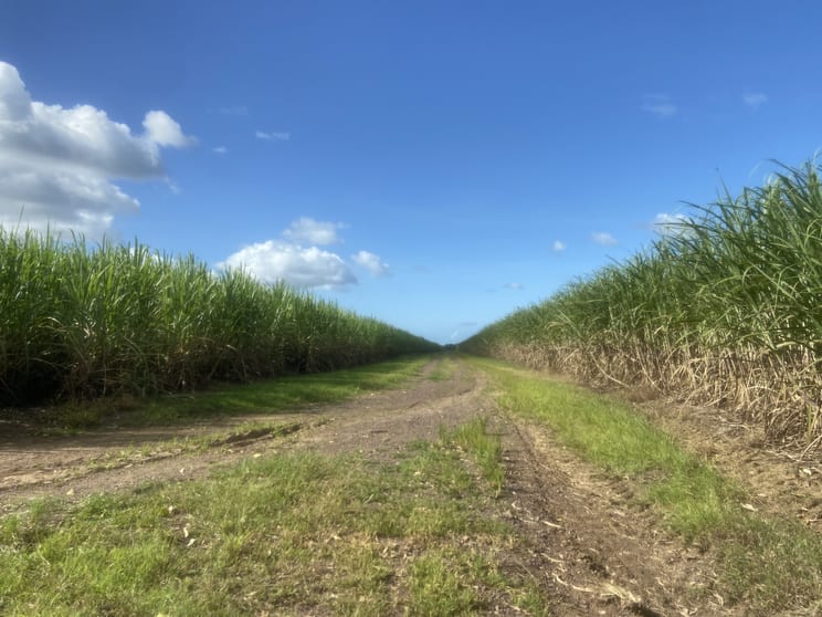Click to view all images 113 Koumala-Bolingbroke Road Koumala QLD 4738 - Image 2