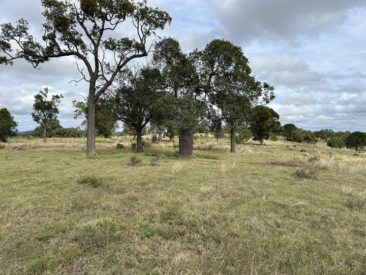 Click to view all images Lot 223 Oakey Cooyar Road Kulpi QLD 4352 - Image 2