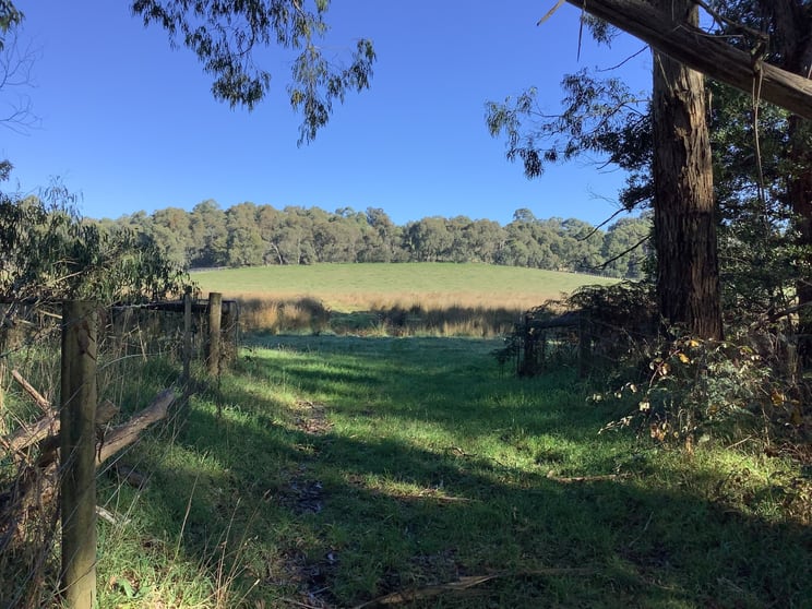 Click to view all images Lot 2/TP972133T Old Beenak Road Yellingbo VIC 3139 - Image 2
