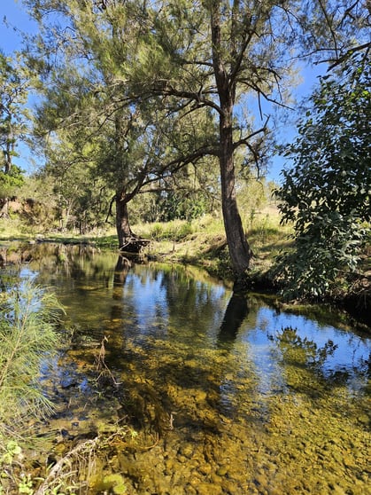 Click to view all images 516 Scrub Creek Road Scrub Creek QLD 4313 - Image 2
