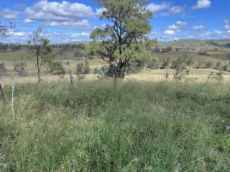 Click to view all images 192 School Lane Mount Perry QLD 4671 - Image 2