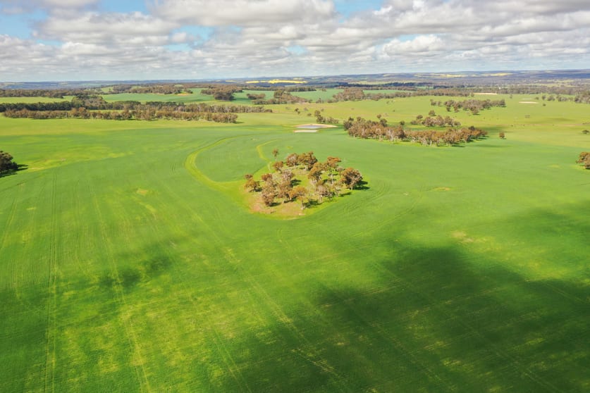 Click to view all images Mobrup Road Mobrup WA 6395 - Image 2