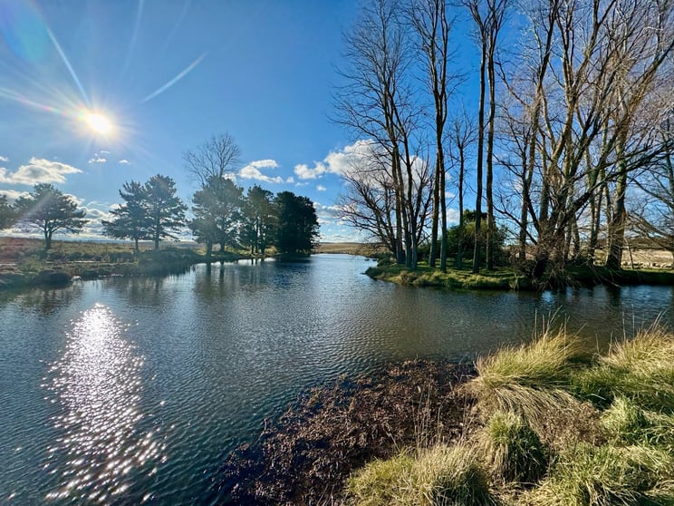Click to view all images 544 Mountain Ash Road Goulburn NSW 2580 - Image 2