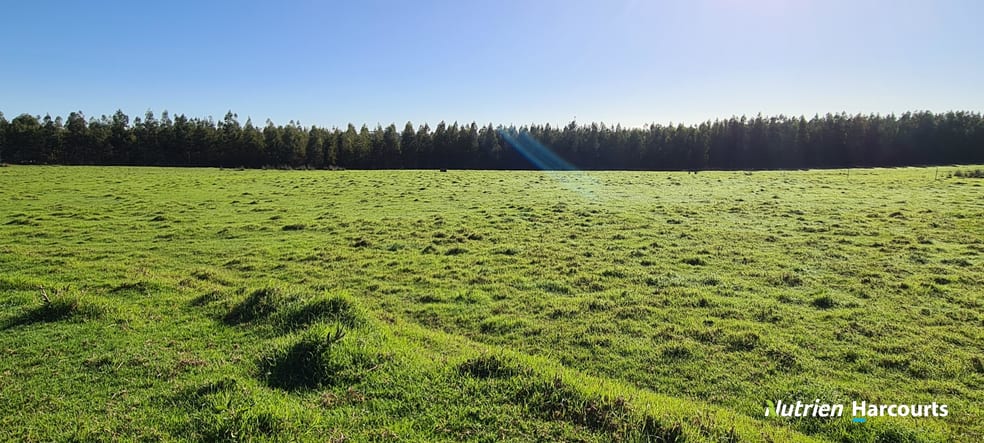 Click to view all images 1244 Dempster Road Kalgan WA 6330 - Image 3
