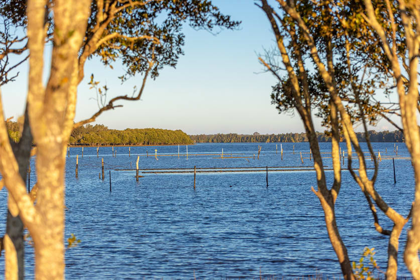 Click to view all images 67 Pelican Bay Road Mitchells Island NSW 2430 - Image 1
