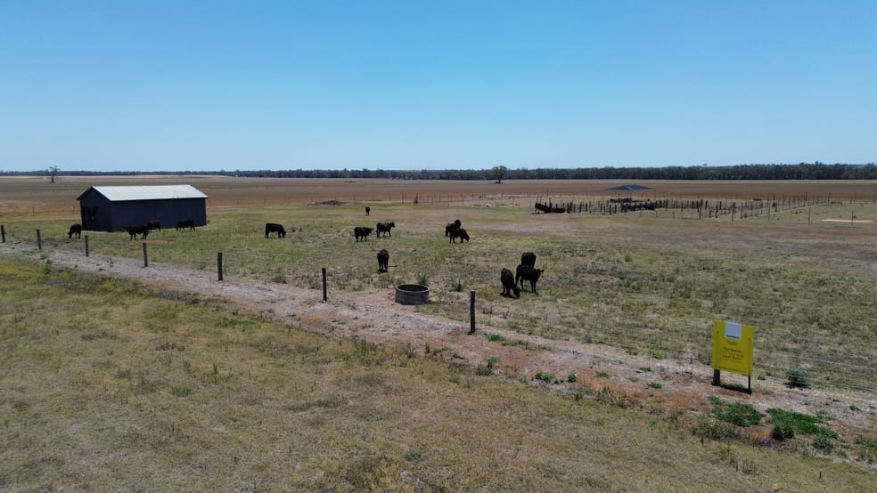 Click to view all images Lot 1 Brymaroo Irvingdale Road Brymaroo QLD 4403 - Image 1