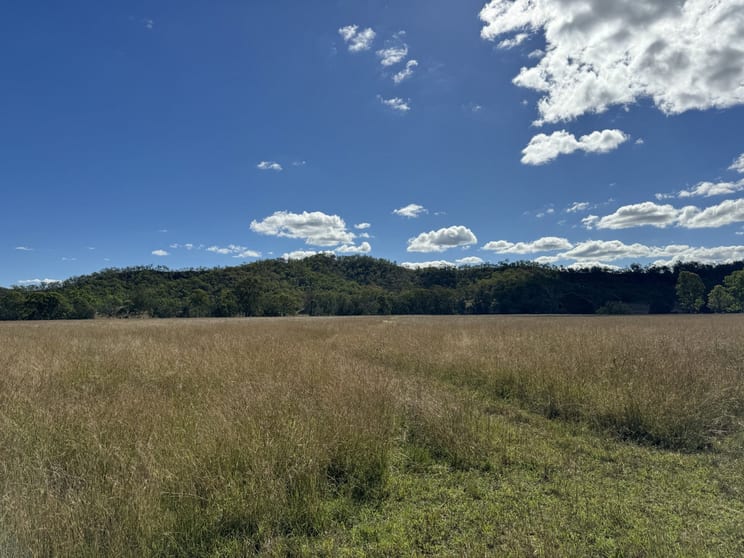 Click to view all images 186 Mungungo Creek Road Monto QLD 4630 - Image 1