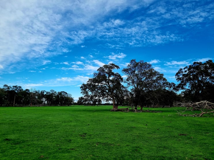 Click to view all images Lot 808 Mayfield Road Waroona WA 6215 - Image 3