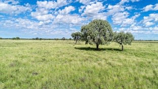 Click to view all images Coonamble NSW 2829 - Image 2