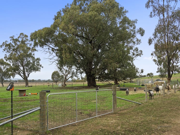 Click to view all images 0 Avenel-Nagambie Road Tabilk VIC 3607 - Image 3