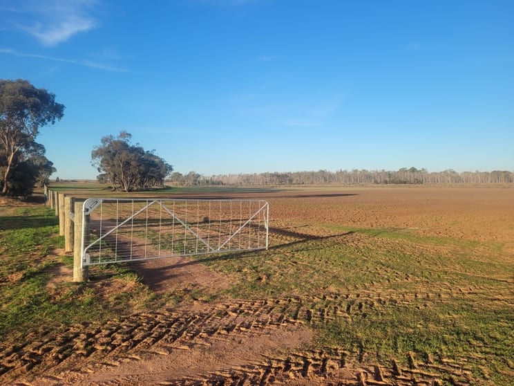 Click to view all images Woorinen-Vinifera Road Woorinen North VIC 3589 - Image 2