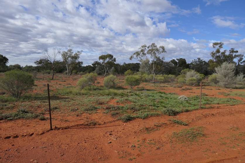 Click to view all images 723 Lerida Road Cobar NSW 2835 - Image 3