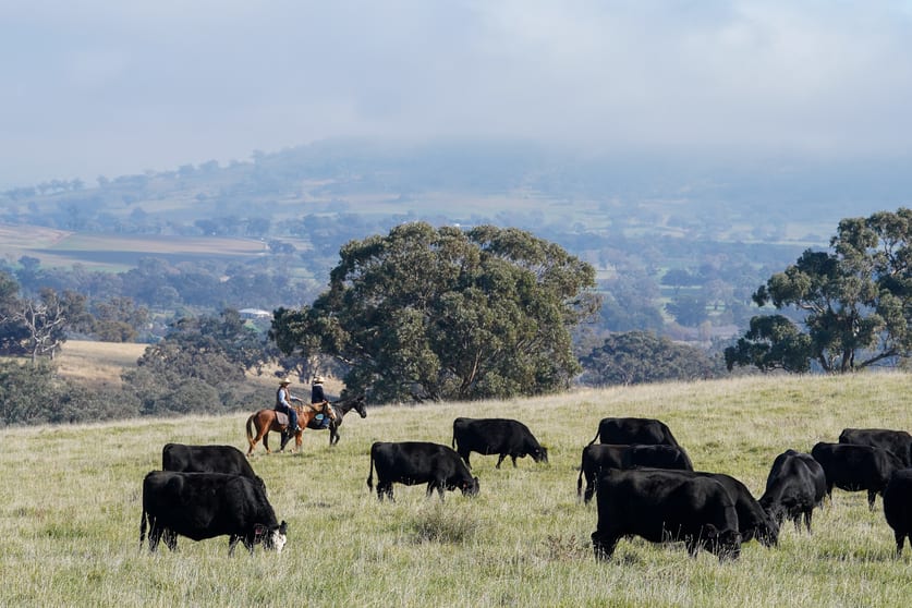 Click to view all images 'Bunyarra Range' 60 Bunyarra Lane Orange NSW 2800 - Image 1