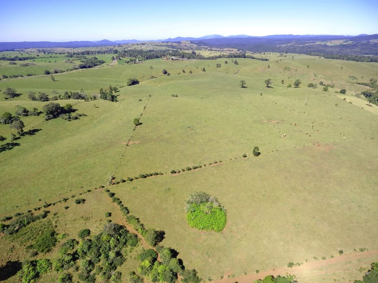 Millaa Millaa QLD 4886 - Image 1