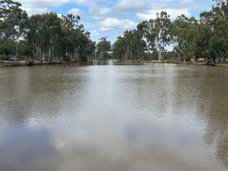 Click to view all images 1369 Yagaburne-Boondandilla Road Moonie QLD 4406 - Image 1
