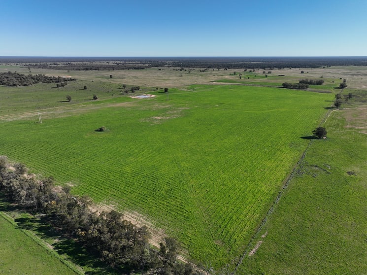 Click to view all images 1035 Stumpy Lane Wee Waa NSW 2388 - Image 3