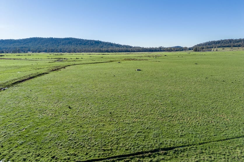 Click to view all images 548 Montana Road Montana TAS 7304 - Image 3