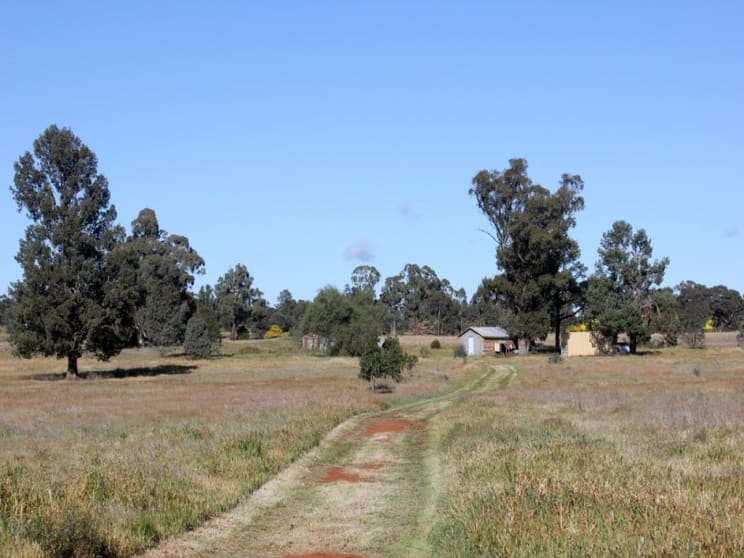 Click to view all images 143 Boree Street Grong Grong NSW 2652 - Image 1