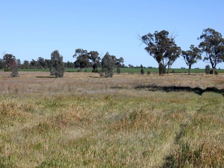 Click to view all images 143 Boree Street Grong Grong NSW 2652 - Image 3